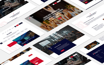 Fédération Addiction - Website Creation