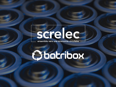 MARKETING DIGITAL : Screlec-Batribox - Réseaux sociaux