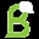 Basso Marketing Agency