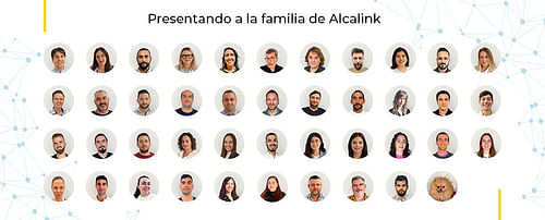 Alcalink eCommerce & Marketing cover