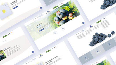 E-commerce Website Development For Dealul cu Afine - E-commerce