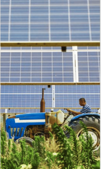 150 leads de niche en 3 mois dans le photovoltaïque agricole - Online Advertising
