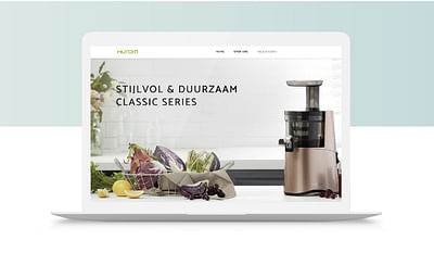 Ecommerce Web Development - Website Creation