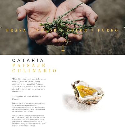 https://restaurantecataria.com/ - Website Creation