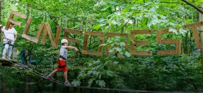 Samen groeien met Fun Forest! - Website Creatie