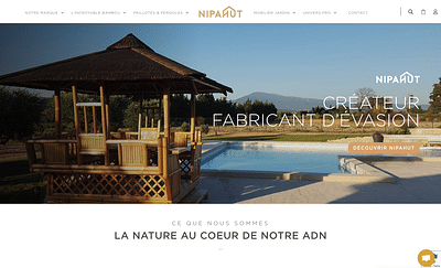 Refonte d'un site e-commerce avec Wordpress - Création de site internet