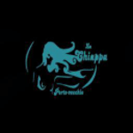 Fratelli Chiappa S.r.l. Firearms