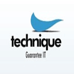 Technique Ltd logo