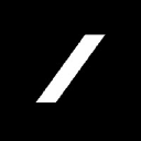 Digital Organizing logo