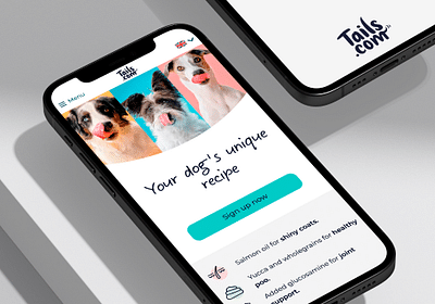 Curated meals for happy canines - Software Entwicklung