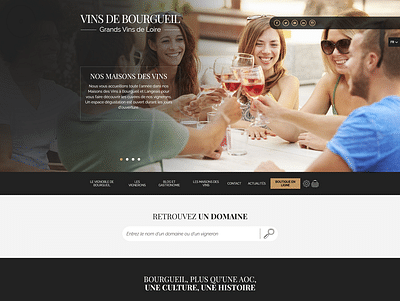 Vins de Bourgueil - Webseitengestaltung