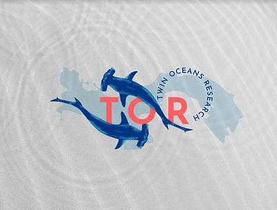 Twin Oceans Research - Branding & Positionering
