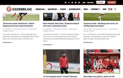 GEISSBLOG: Vom veralteten Blog zur hochperformanten News-Plattform - Werbung