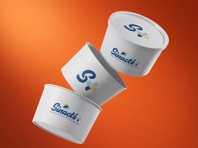 Sinacté - Identité visuelle et Supports print - Identité Graphique