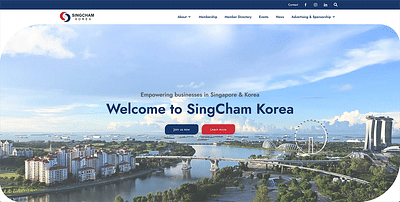 SingCham Korea X Catching Clicks - Création de site internet