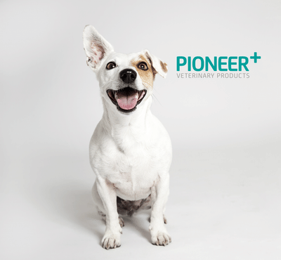 Pioneer Veterinary Products Corporate Video - Video Production