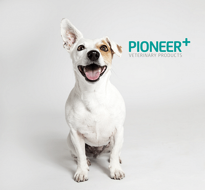 Pioneer Veterinary Products Corporate Video - Video Productie