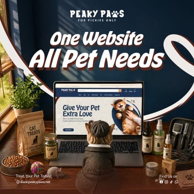 E-Commerce Full project - Website Creatie
