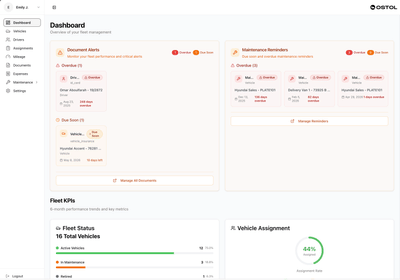 OSTOL - Fleet Management System - Consultoría de Datos