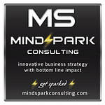 MindSpark Consulting