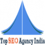 TOP SEO Agency India