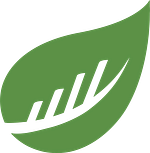 BusySeed