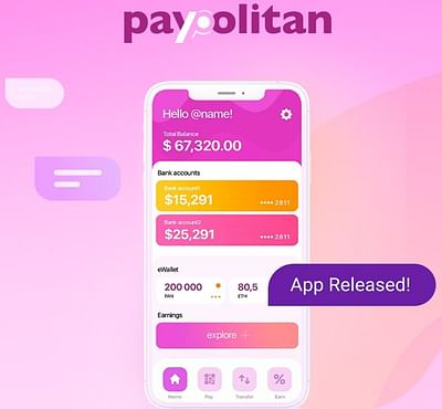 Paypolitan Case - Planification médias