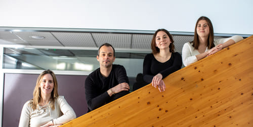 Alphea net - Agence web Mulhouse cover
