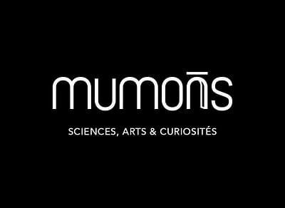 MUMONS - Website Creatie