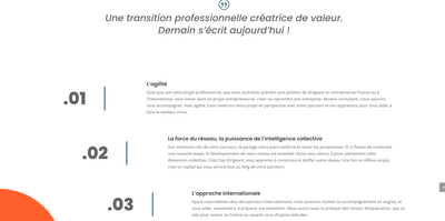 Création du site Cap Dirigeant - Website Creation