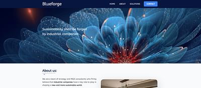 Blueforge Partners - Webseitengestaltung