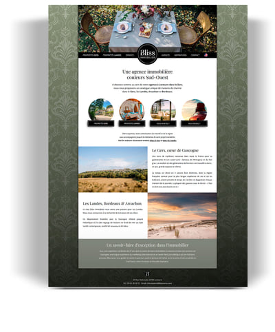 Site agence immobilière - Website Creation