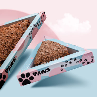 Paws Qatar | Social Media - Redes Sociales