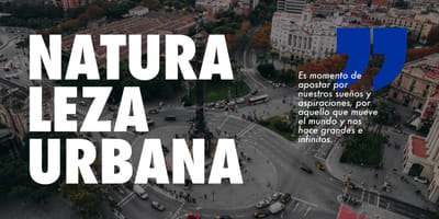 CASTROSÚA - NELEC - Branding y posicionamiento de marca