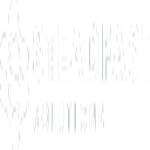 Steadfast Solutions