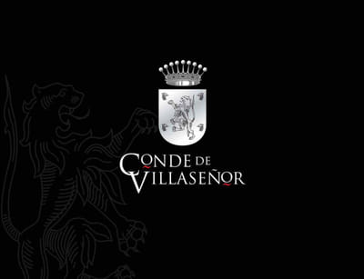 Diseño Brandig Corporativo + FEE - Branding & Positionering