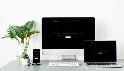 Idealis Consulting : new website - Website Creatie