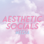 Aesthetic Socials Media