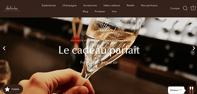 Dilettantes - Refonte du design du site - Website Creation