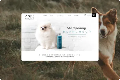 Refonte e-commerce PrestaShop : Anju Beauté - E-commerce