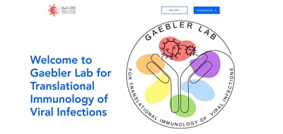 Research website for an immunology lab at the Charité - Website Creation