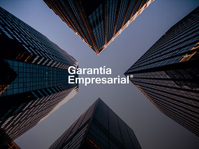 Garantia Empresarial - Diseño de manual de Marca - Diseño Gráfico