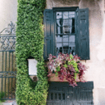 Charleston CVB