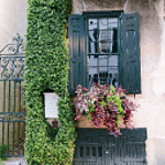 Charleston CVB