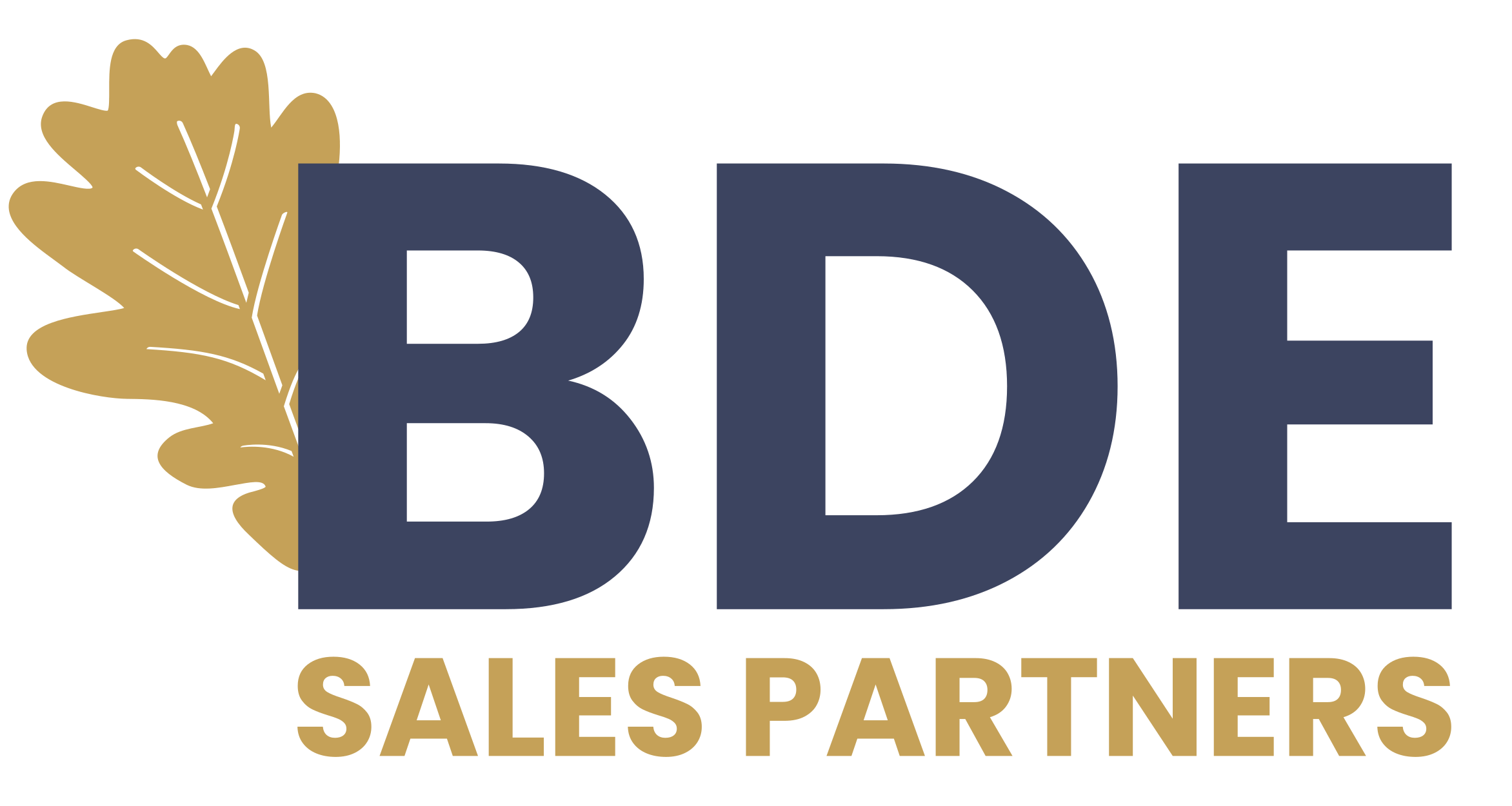 BDE Sales Partners GmbH