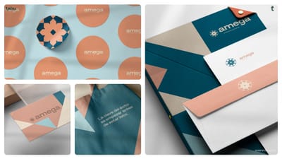 Amega - Branding y posicionamiento de marca