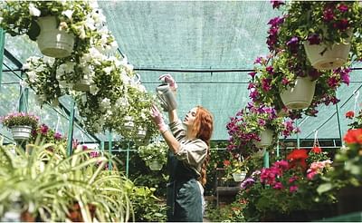 Regaining overall traffic for Garden Concept - SEO