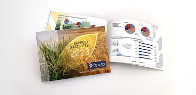 Rapport Annule Fégra - Image de marque & branding