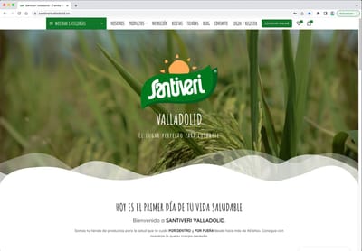 Santiveri Valladolid - Website Creation