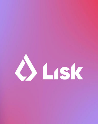 Lisk Case - Digital Strategy